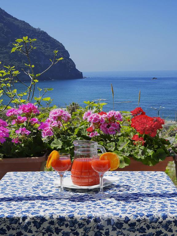 Forio di Ischia Hotel Casa Del Sole מראה חיצוני תמונה